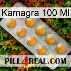 Kamagra 100 Ml levitra1